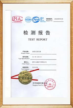 Test Report