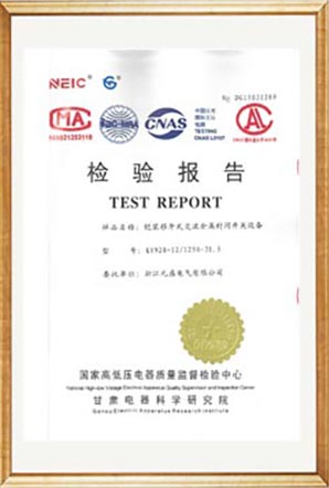 Test Report