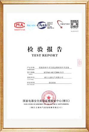 Test Report