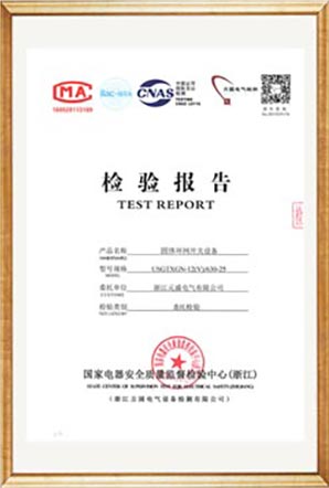 Test Report