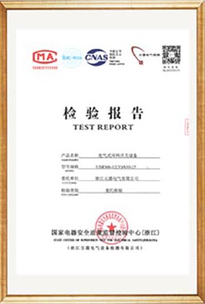 Test Report