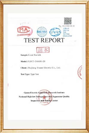 Test Report