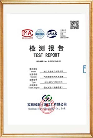 Test Report
