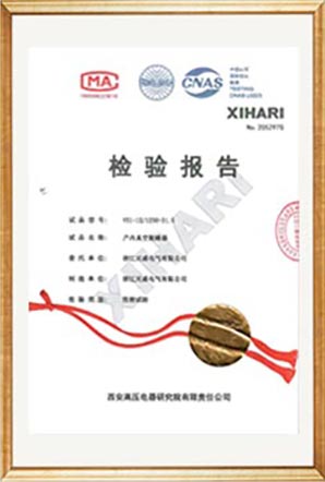 Test Report
