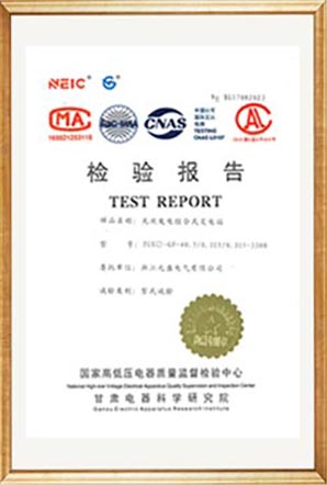 Test Report